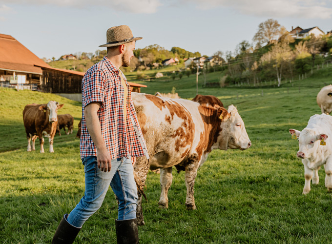 $research['left_image_alt']